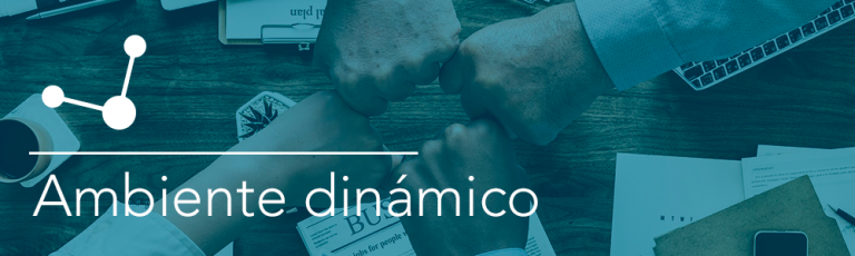 ambiente dinamico